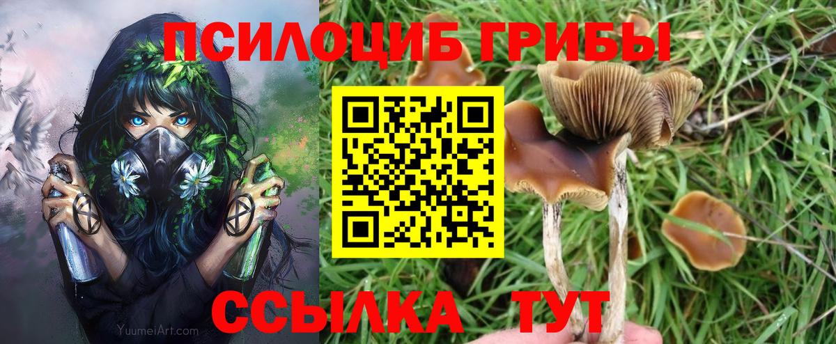 Галлюциногенные грибы GOLDEN TEACHER  Галлюциногенные грибы ЛСД  Трёхгорный  Вход с VPN 